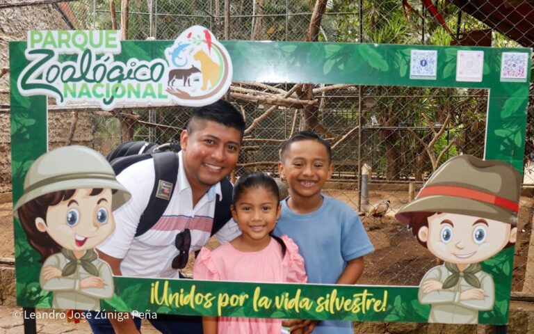 Más de 130 especies en el Parque Zoológico Nacional El Parque Zoológico Nacional es un lugar para toda la familia y principalmente para descubrir este centro de preservación y conservación de más de 130 especies. "Hemos venido en excursión desde León, tenemos un itinerario que contempla el zoológico, el volcán Masaya y luego por la tarde el Parque Salvador Allende; es algo bonito que nos garantiza nuestro Gobierno Sandinista en cada espacio de recreación", expresó Harold Mendoza. Además, puedes ver de cerca las mariposas y disfrutar de ese momento y tomarte tu foto o video. "Venir a este parque debe ser una tarea obligada de cada padre de familia; lo más hermoso que puede recibir un niño es el conocimiento sobre la naturaleza porque así aprenden a cuidarla", dijo Kennert Gaitán, de Managua.