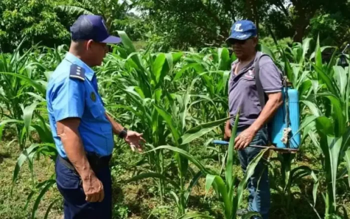 Resultados del Plan de Seguridad Ciudadana y en el Campo