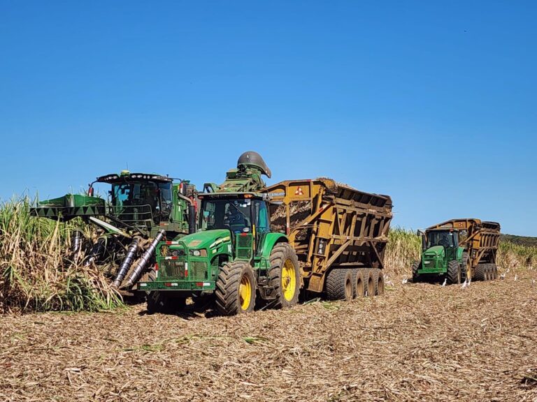 Producción de azúcar supera los 11.6 millones de quintales en la zafra