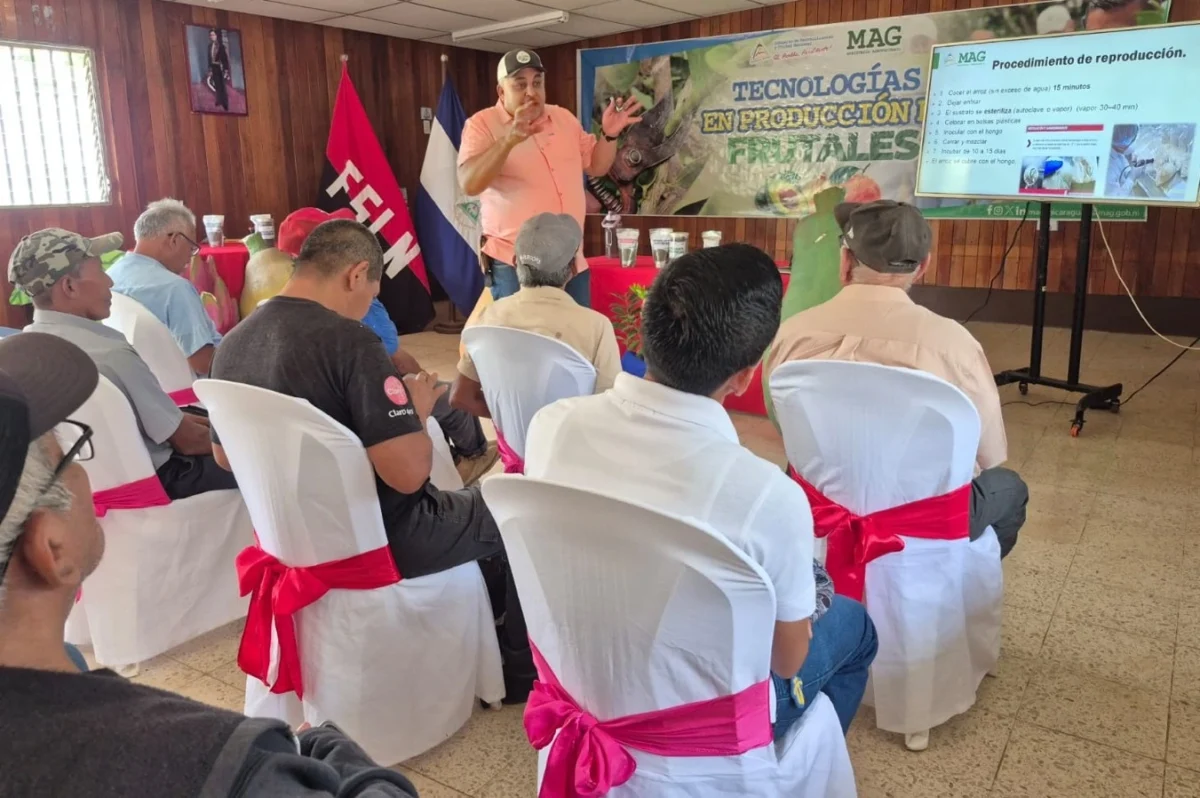 Productores de Masaya fortalecen manejo de frutales con insumos biológicos