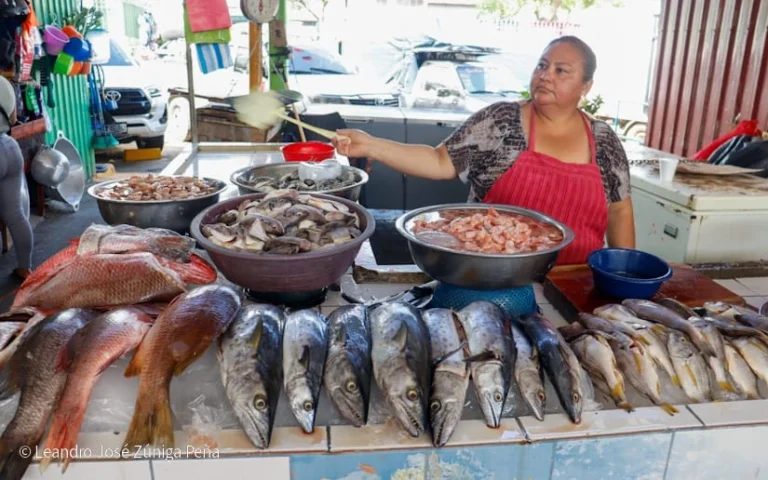 La temporada de verano 2026 dejó resultados positivos para los comerciantes del mercado Israel Lewites, en Managua, quienes reportaron ventas superiores a lo esperado, impulsadas por la alta demanda de mariscos y productos tradicionales.