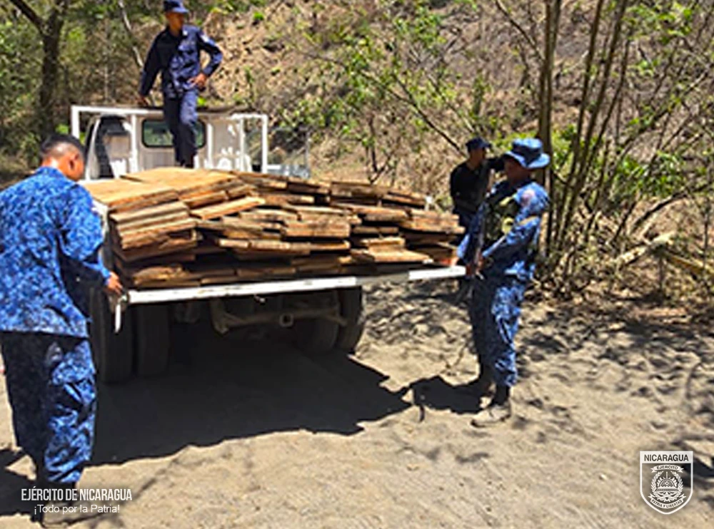 Ejército de Nicaragua incauta madera talada ilegalmente en Chinandega