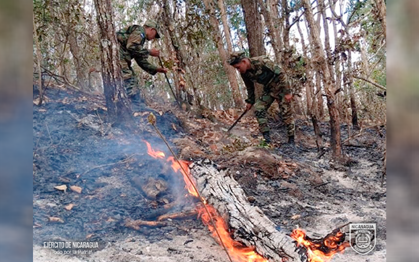 Ejército de Nicaragua sofoca incendio en la Reserva Natural Apante en Matagalpa