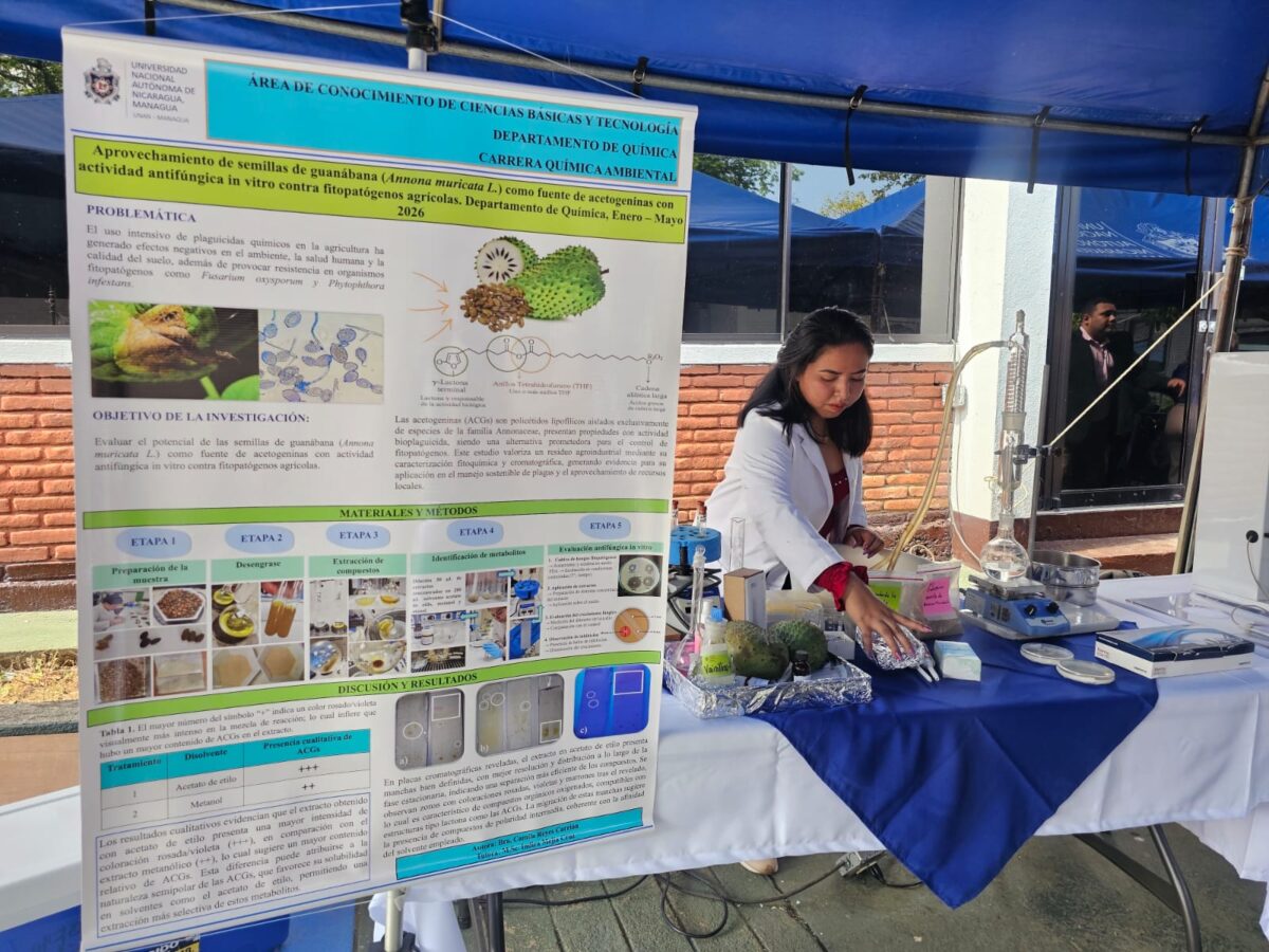 Más de 500 proyectos científicos presentados