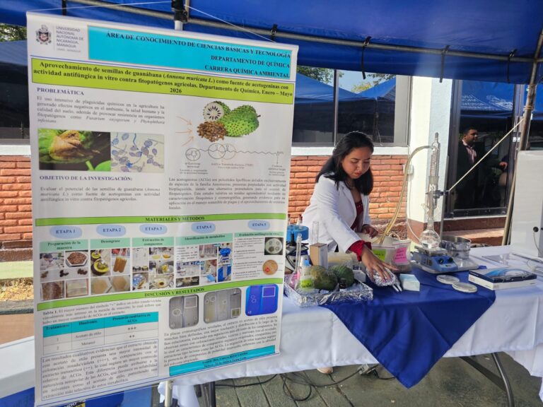 Más de 500 proyectos científicos presentados