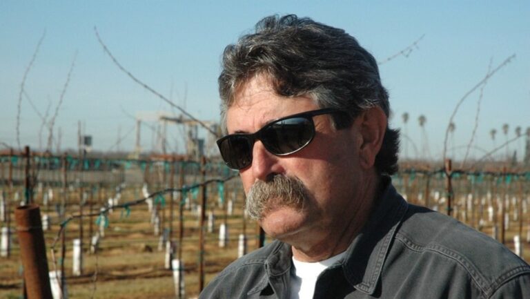 Muere pisoteado por cinco elefantes