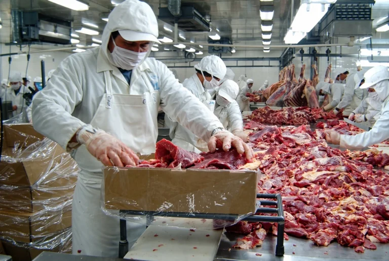 Nicaragua produce 110.7 millones de libras de carne bovina