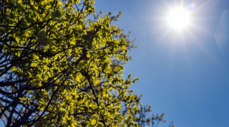 Nubosidad, lluvias y temperaturas de 38 grados predominan en Nicaragua