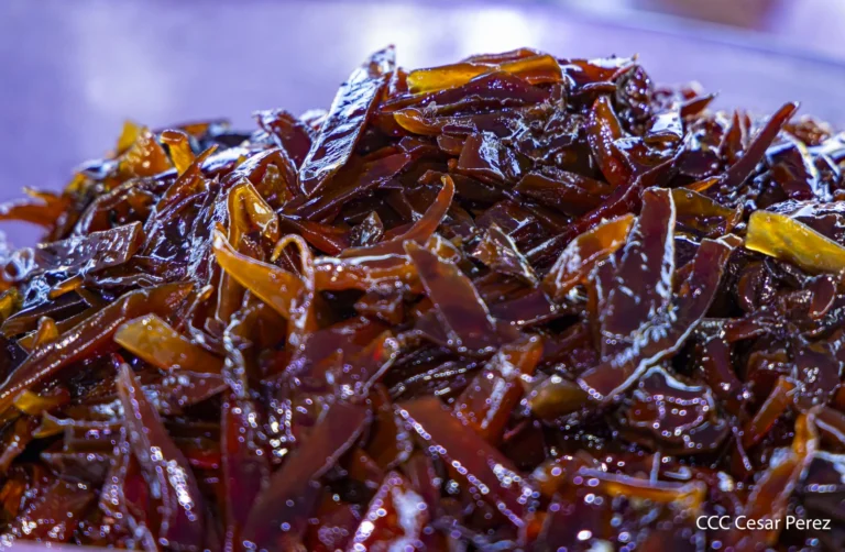 Puerto Salvador Allende reparte almíbar a turistas