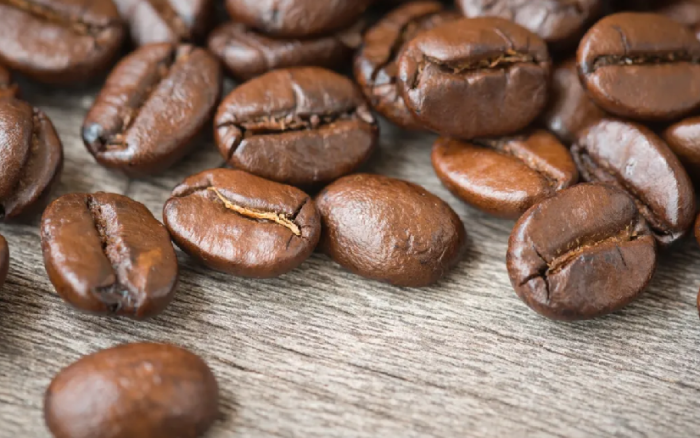 Jurado internacional elegirá a “Lo mejor de Los Maragos”