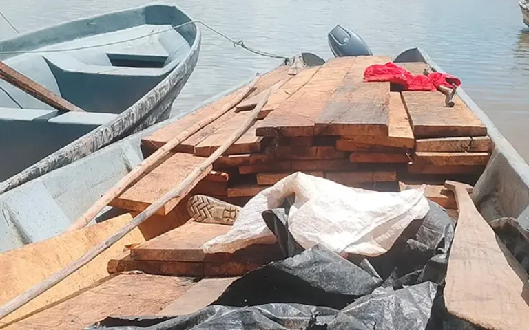 Ocupación de madera 