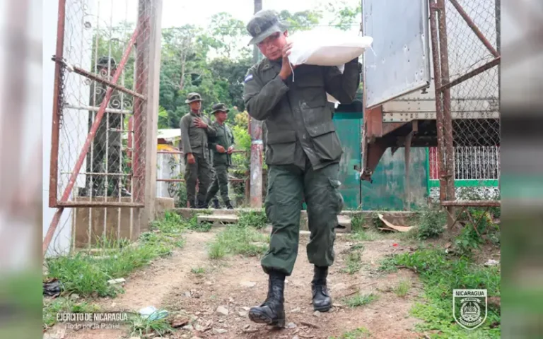 Descargue de Merienda Escolar