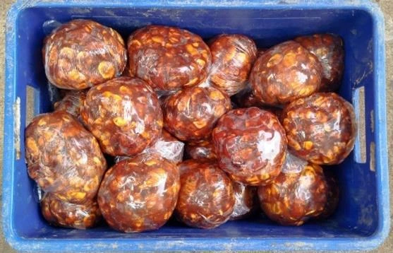 Acopio de tamarindo supera los 12 mil quintales en Masaya