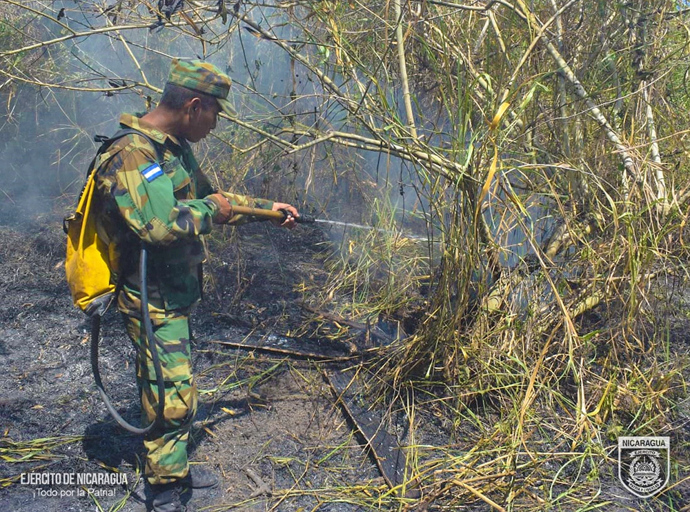Ejército de Nicaragua participa en sofocación de incendio forestal en Jinotega