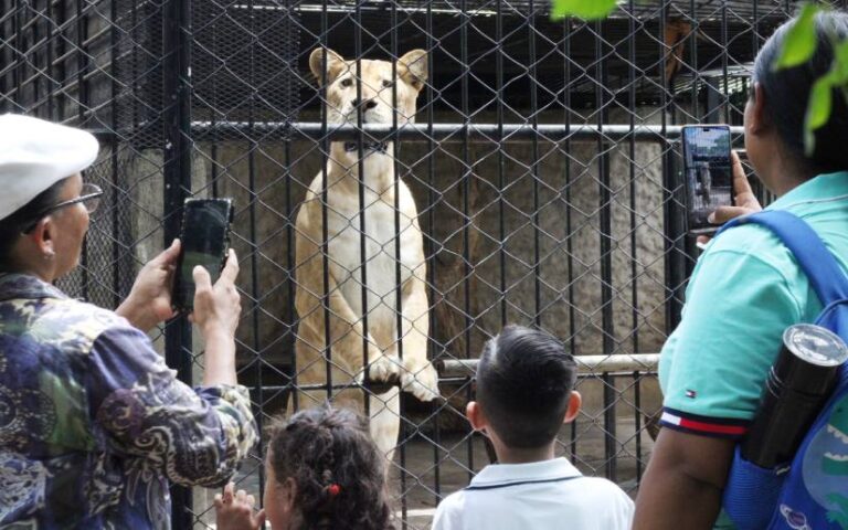 Familias aprovechan fin de semana en el Zoológico Nacional