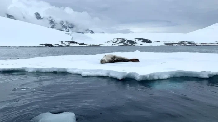 Estudio revela que se duplicó el nivel del mar por el cambio climático