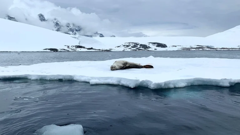 Estudio revela que se duplicó el nivel del mar por el cambio climático