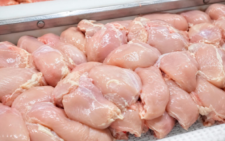 Nicaragua alcanza producción de 139.2 millones de libras de carne de pollo