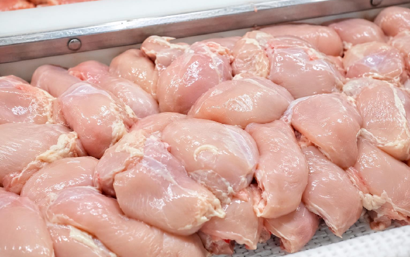 Nicaragua alcanza producción de 139.2 millones de libras de carne de pollo