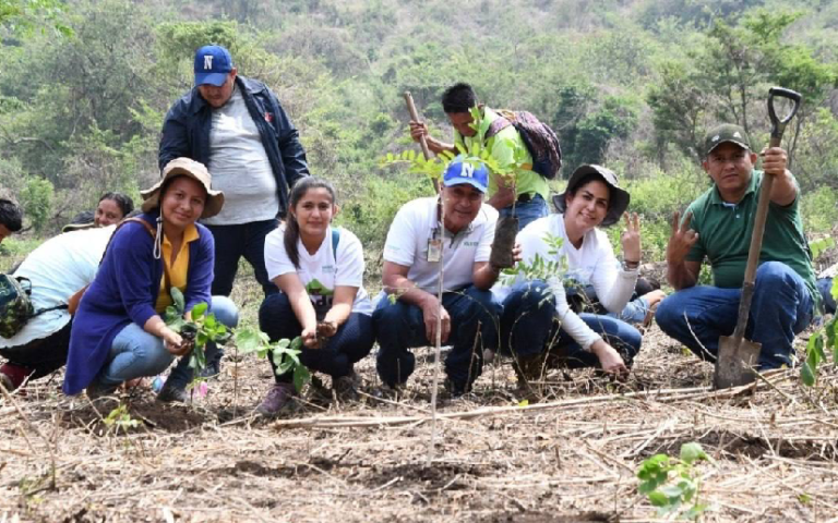 Nicaragua proyecta plantar alrededor de 12 millones de árboles este año en zonas prioritarias del país