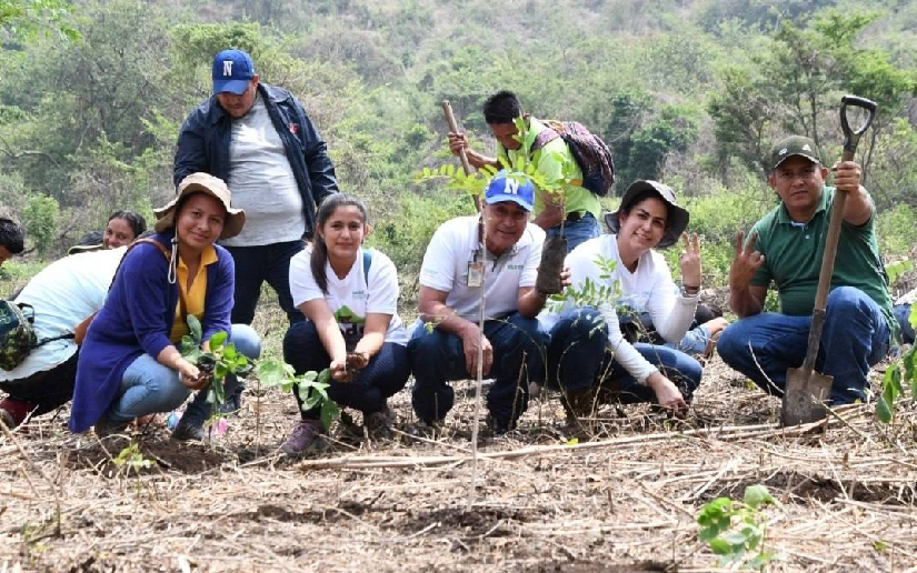 Nicaragua proyecta plantar alrededor de 12 millones de árboles este año en zonas prioritarias del país