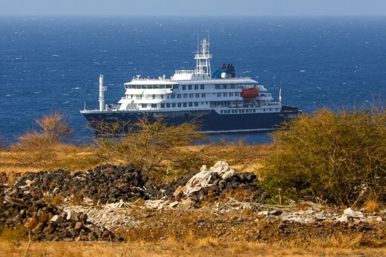 OMS coordina repuesta sanitaria por hantavirus en un crucero