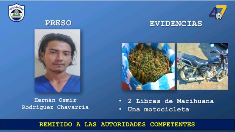 Policía Nacional incauta una libra de marihuana en Siuna