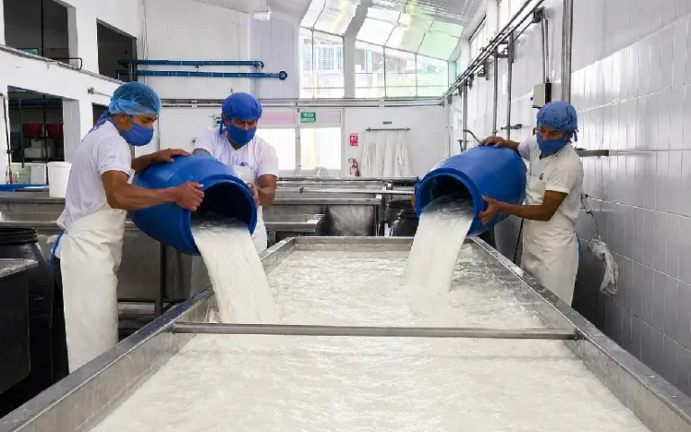 Producción de leche en Nicaragua alcanza 57.8 millones de galones al mes de abril