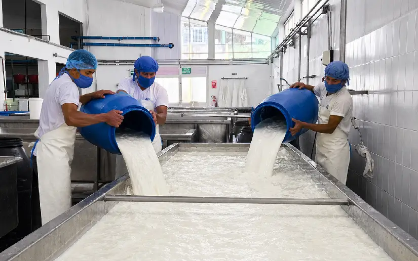 Producción de leche en Nicaragua alcanza 57.8 millones de galones al mes de abril