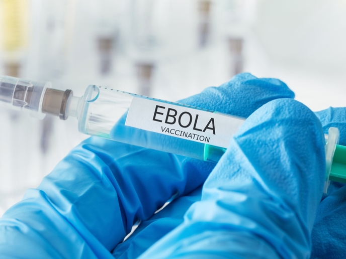 En este tiempo estaría lista la vacuna contra el ébola