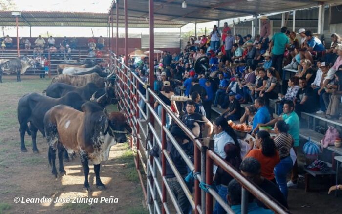Arrancan las tradicionales tardes taurinas en Managua