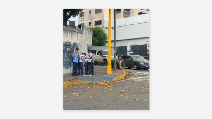 "lluvia de mangos” por fuertes vientos en Caracas