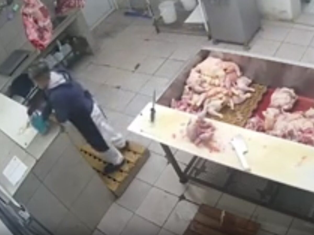 Se llevaba mal con su compañero e intenta envenenarlo con raticida