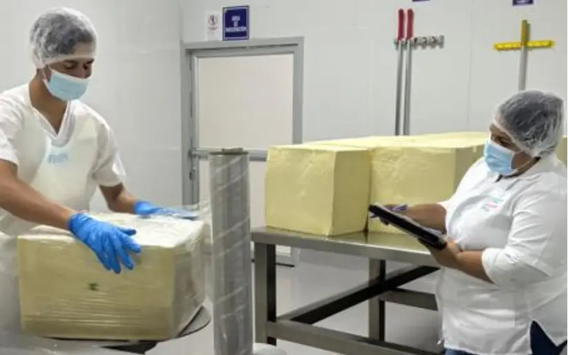 Nicaragua produce 77.7 millones de libras de queso y cuajada