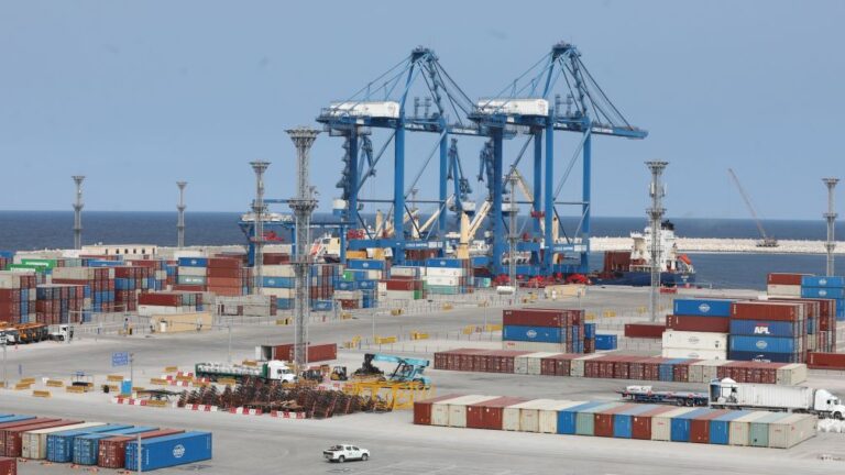 Turquía incauta más de 12 toneladas de fármacos y metanfetamina en operativos fronterizos