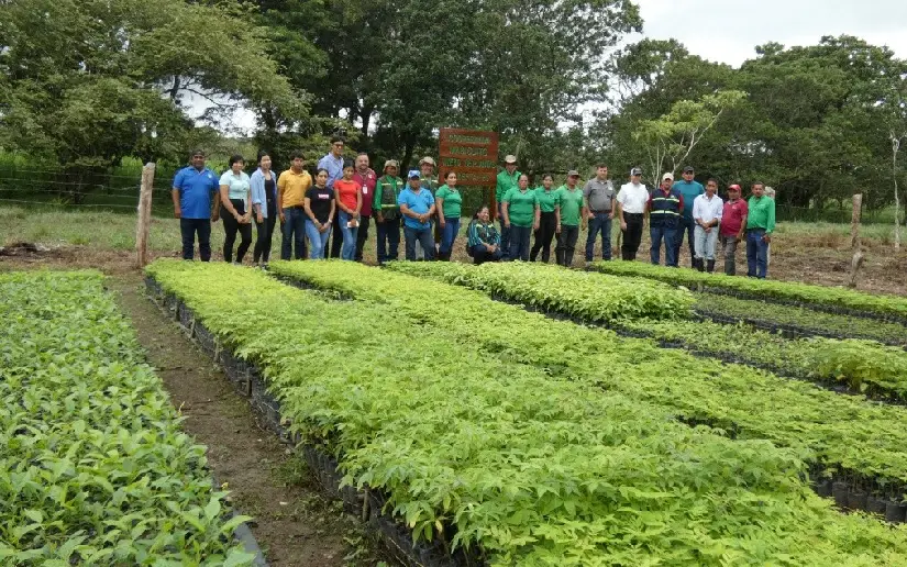 Inauguran dos viveros en Boaco y Río San Juan