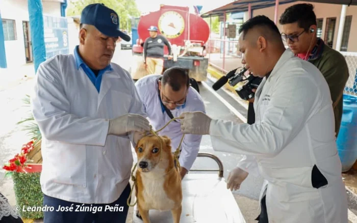 Feria de Salud para atender a las mascotas