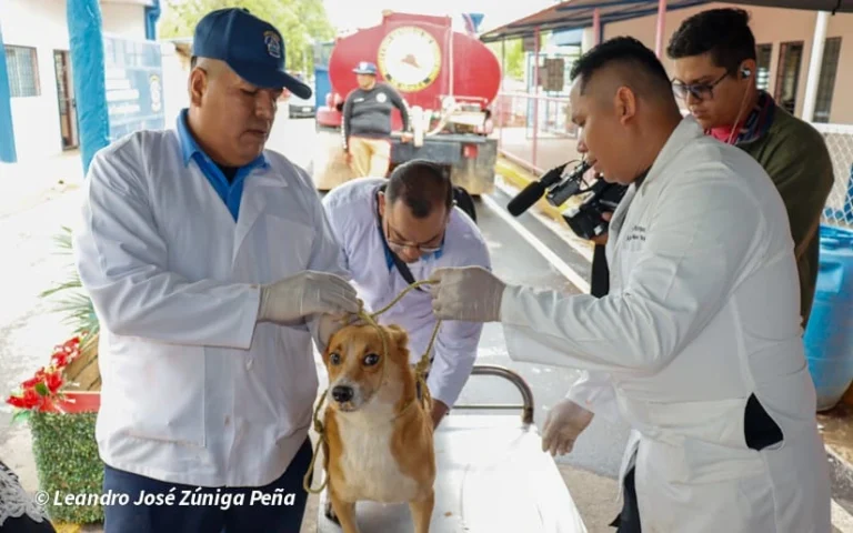 Feria de Salud para atender a las mascotas