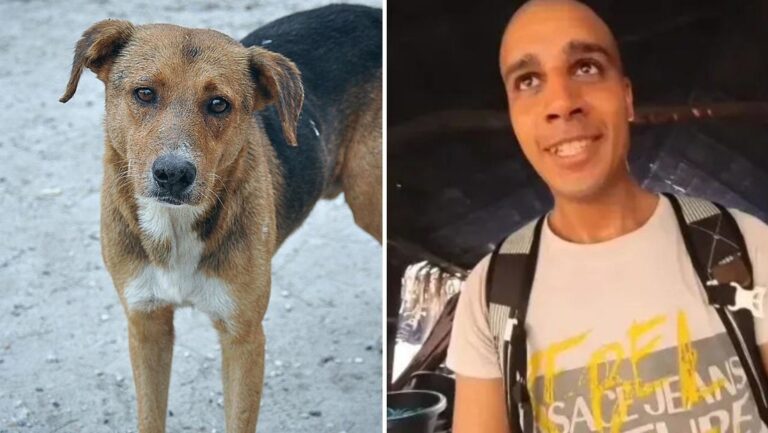 Para conseguir más ´likes´ un youtuber despelleja y se come un perro