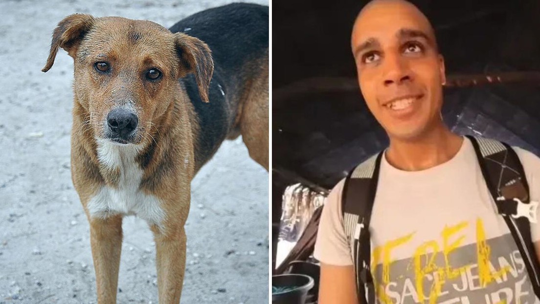 Para conseguir más ´likes´ un youtuber despelleja y se come un perro