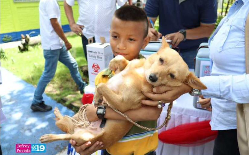 Campaña de Vacunación Antirrábica Canina
