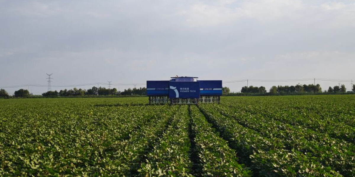 China incorpora robot de 108 brazos para cosechar algodón