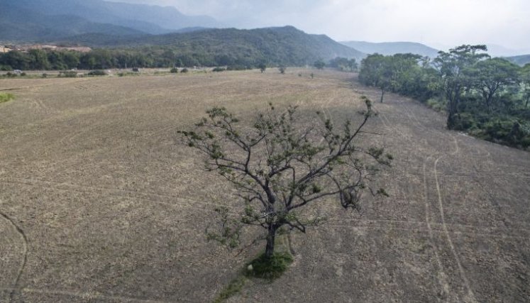 Colombia aprueba declaración de desastre nacional por El Niño
