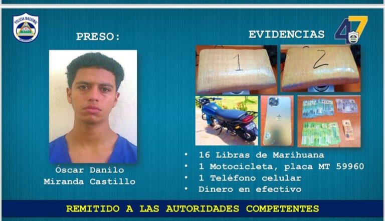 Incautan 24 libras de marihuana en Estelí