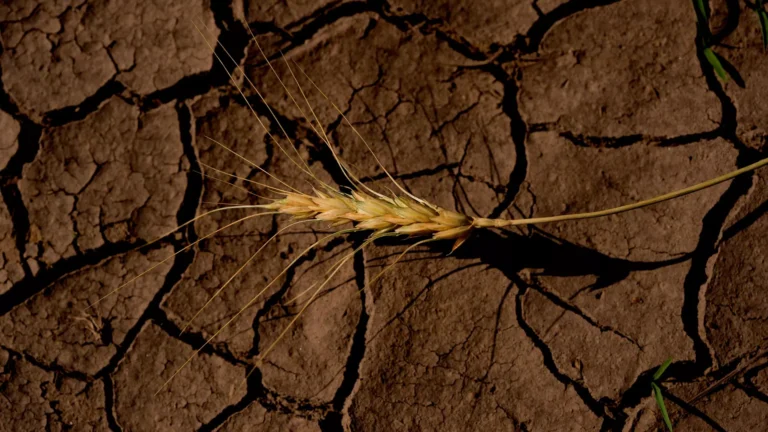 El Niño amenaza economías de la región