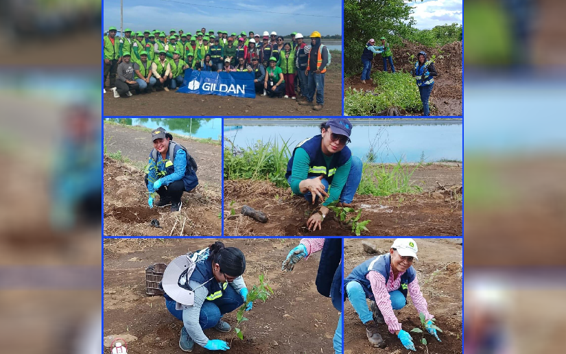 ENACAL reforesta ecosistemas en occidente