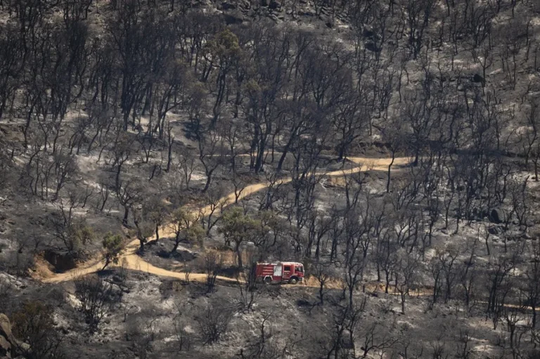 Europa enfrenta crisis por calor y sequía