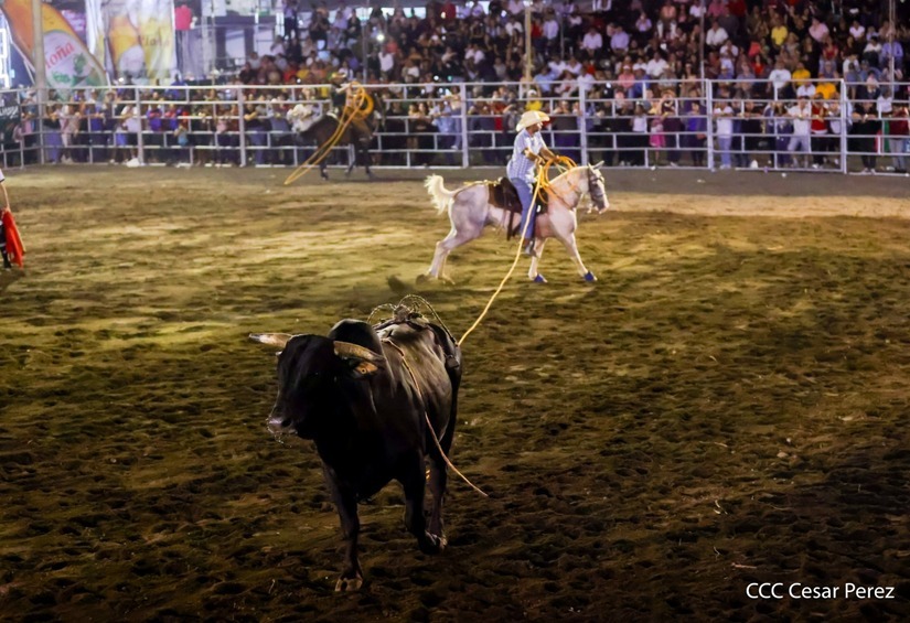 Feria Ganadera Managua 2026 arranca este 2 de agosto
