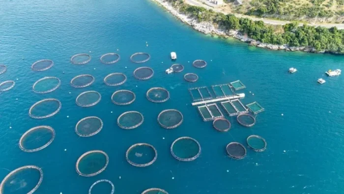 Indonesia impulsará acuicultura en 40 mil aldeas
