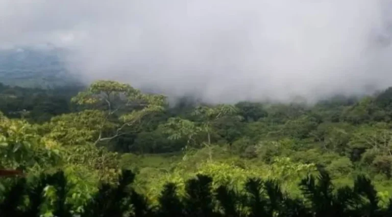 Pronostican lluvias dispersas y fuertes vientos en Nicaragua
